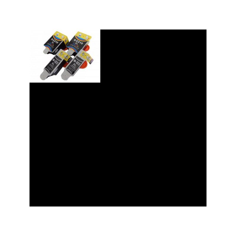 Rašalo kasečių rinkinys (2x bk, 2x c), skirtas Samsung INK-M210, M215, C210