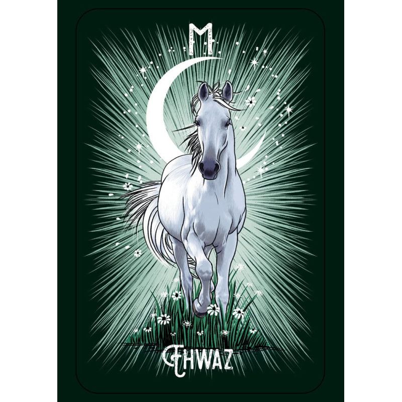 The Witch's Familiar Runic Oracle Kortos Pocket Hay House
