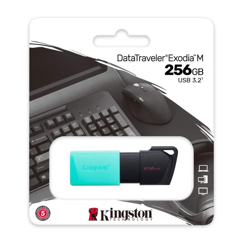 USB Atmintinė - Kingston 256GB USB 3.2 Mėlyna-žalia
