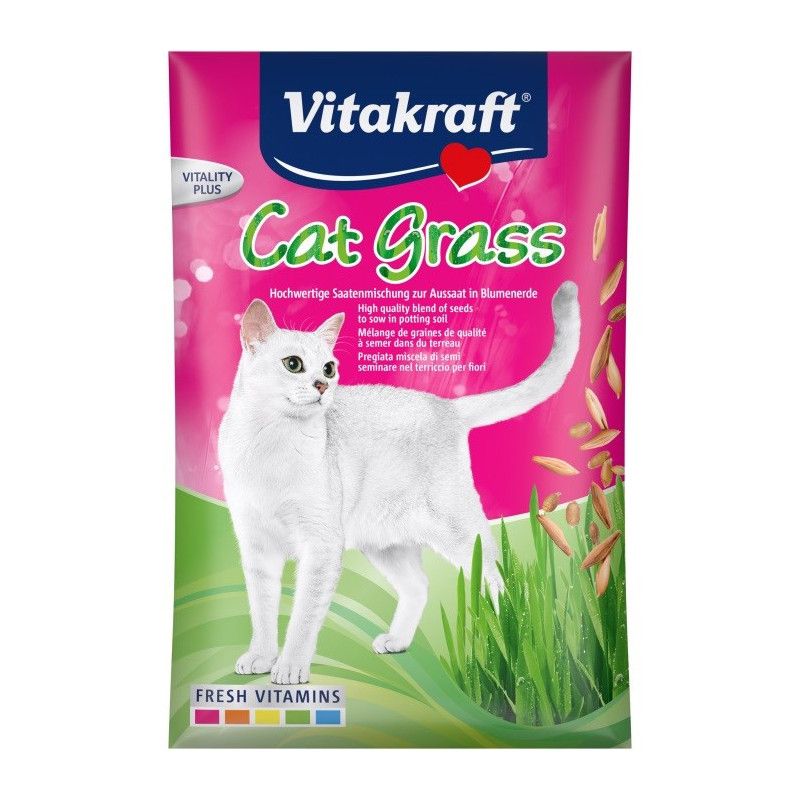 VITAKRAFT kačių žolė - žolės sėklos - 50 g -