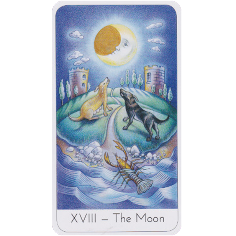Watkins Publishing The Wisdom Seeker's Tarot Kortos