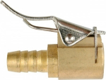 Antgalis pompai 8 mm