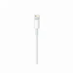 "Apple" USB-C ir "Lightning" kabelis (1 m), modelis A2561