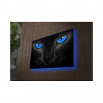 Apšviestas paveikslas Morrison, 70 x 45 cm