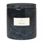 Aromatinė žvakė degimo laikas 40 h Agave – Blomus