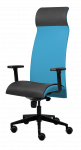 Biuro kėdė Tronhill Solium Executive, žydros ir pilkos spalvos