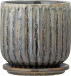 Bloomingville Vazonas Drago su stovu žalios spalvos 15,5 cm