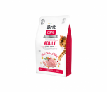 Brit Care Cat GF Adult Activity Support