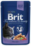 BRIT Cat Fish MENKĖ 100g
