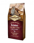 CARNILOVE Cat Energy & Outdoor Renifer 2 kg