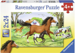 Dėlionė RAVENSBURGER 2x24 det. World of Horses