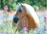 Dėlionė RAVENSBURGER 300 det. Horse in Flowers