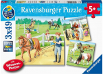 Dėlionė RAVENSBURGER 3x49 det. Horses