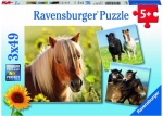 Dėlionė RAVENSBURGER 3x49 det. Loving Horses