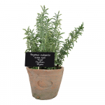 Dirbtinis augalas (aukštis 21,5 cm) Thyme – Esschert Design