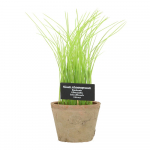 Dirbtinis augalas (aukštis 27 cm) Chives – Esschert Design