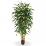 Dirbtinis augalas Bambukas 210cm