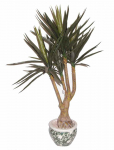 Dirbtinis augalas Dracena I