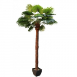 Dirbtinis augalas Palmė I