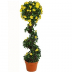 Dirbtinis augalas Vijoklis II