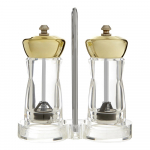 Druskinė ir pipirinė – Premier Housewares