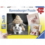 Funny Animal Portraits - Puzzle 3X49 - RAVENSBURGER dėlionė