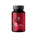 GAMTOS NAMAI B12 + FOLIO RŪGŠTIS, 90 tablečių