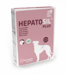 Hepatosil Plus Giant Dogs N30 - N30