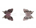 Įsegama kalėdinė dekoracija DECORIS Balloon Butterfly, 2 rūšys, 15,5 x 15 x 1 cm, 1 vnt