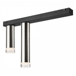 Juodos ir sidabrinės spalvos lubinis šviestuvas su 2 lemputėmis LAMKUR Diego