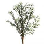 Kalėdinė dekoracija BRANCH, žalios/ baltos sp., 5 x 10 x 30 cm
