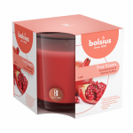 Kvepianti žvakė stikliniame indelyje POMEGRANATE, 9,5 x 9,5 cm