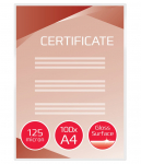 Laminavimo vokeliai GBC, A4, 216x303 mm, 125 mik., blizgūs, 100 vnt.