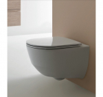 LAUFEN Pro New pakabinamas unitazas 'Rimless', su 'SoftClose' plonu dangčiu