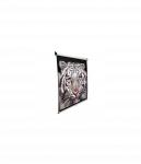 M136XWS1 | Manual Series | Diagonal 136 " | 1:1 | Viewable screen width (W) 244 cm | White
