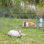 Maniežas graužikams Trixie – Plaček Pet Products