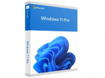 Microsoft | Windows 11 Pro | HAV-00163 | English | FPP | USB | 64-bit|HAV-00163