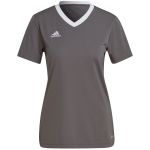 Moteriški Marškinėliai Adidas Entrada 22 Pilka H59848
