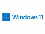 MS 1x Windows 11 Pro GGK 64-Bit DVD OEM English International (EN)