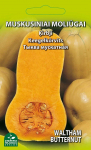 Muskusinių moliūgų WALTHAM BUTTERNUT sėklos, 2 g
