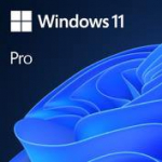 Operacinė sistema MICROSOFT Win 11 Pro GGK 64Bit Eng 4YR-00316