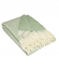 Pledas Herve, vilnonis, šviesiai žalios sp.,140 cm x 200 cm