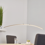 Puristinis LED pakabinamas šviestuvas Iven