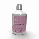 RAW POWDERS Veganiškas kolagenas, 500 ml