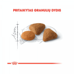 Royal Canin Savour Exigent sausas maistas katėms : Pakuotė sausas maistas - 4 kg