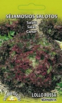Salotų LOLLO ROSSA sėklos, 1 g