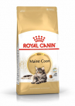 Sausas ėdalas meinkūno katėms ROYAL CANIN MAINE COON, 2 kg