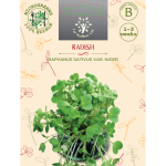 Sėklos daigams Valgomieji ridikėliai Rose d'hiver de Chine 5g (RAPHANUS SATIVUS VAR. NIGER)