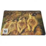 Speedlink TERRA WWF SL-620300-WWF5