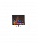 T113UWS1 | Tripod Series | Diagonal 113 " | 1:1 | Viewable screen width (W) 203 cm | Black